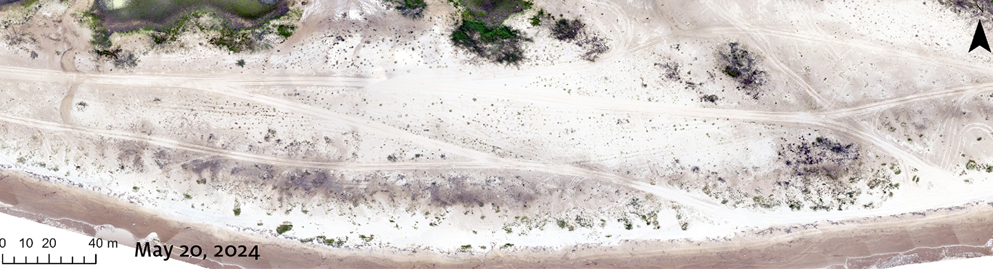 Satellite image of Sargent Island taken on May 20, 2024.